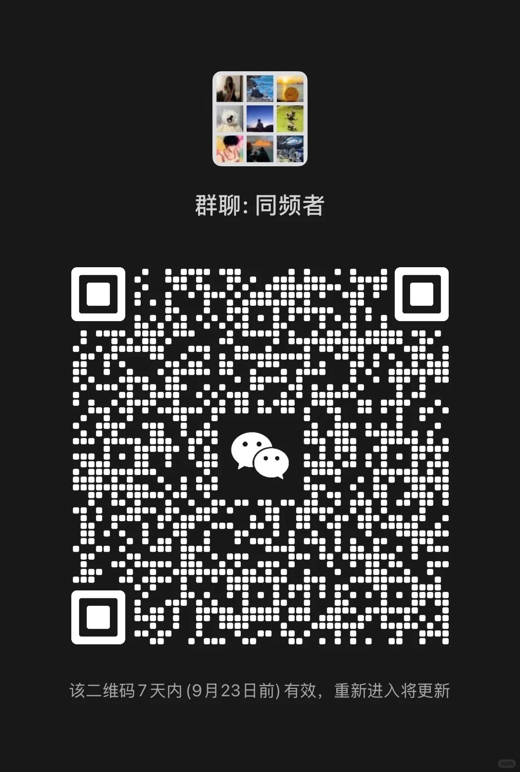 同频者