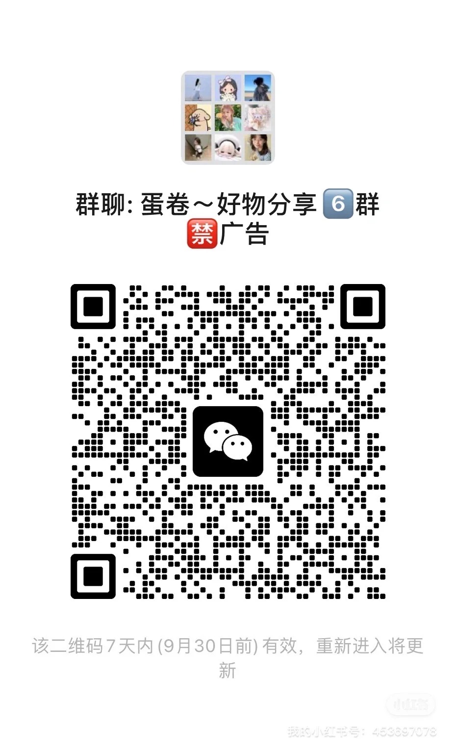 蛋卷好物分享