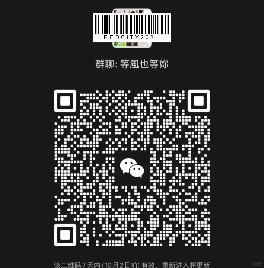 等风也等你