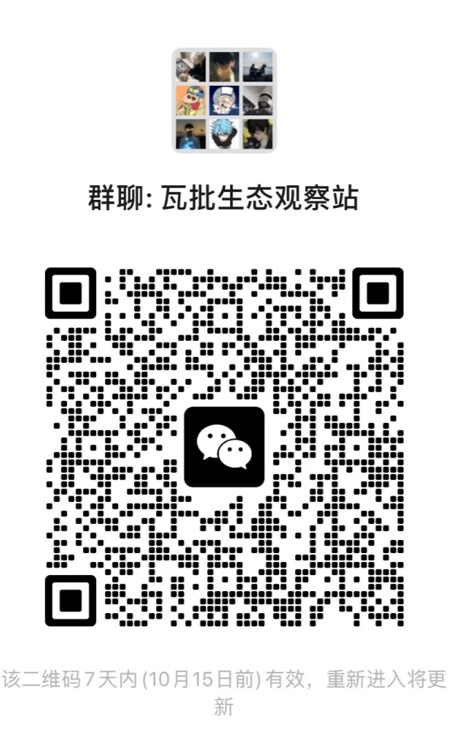 瓦批生泰观察站1
