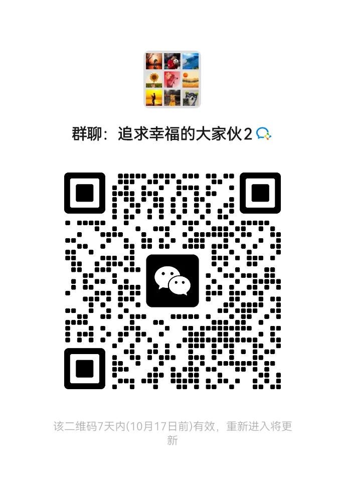 追求幸福的大家伙2