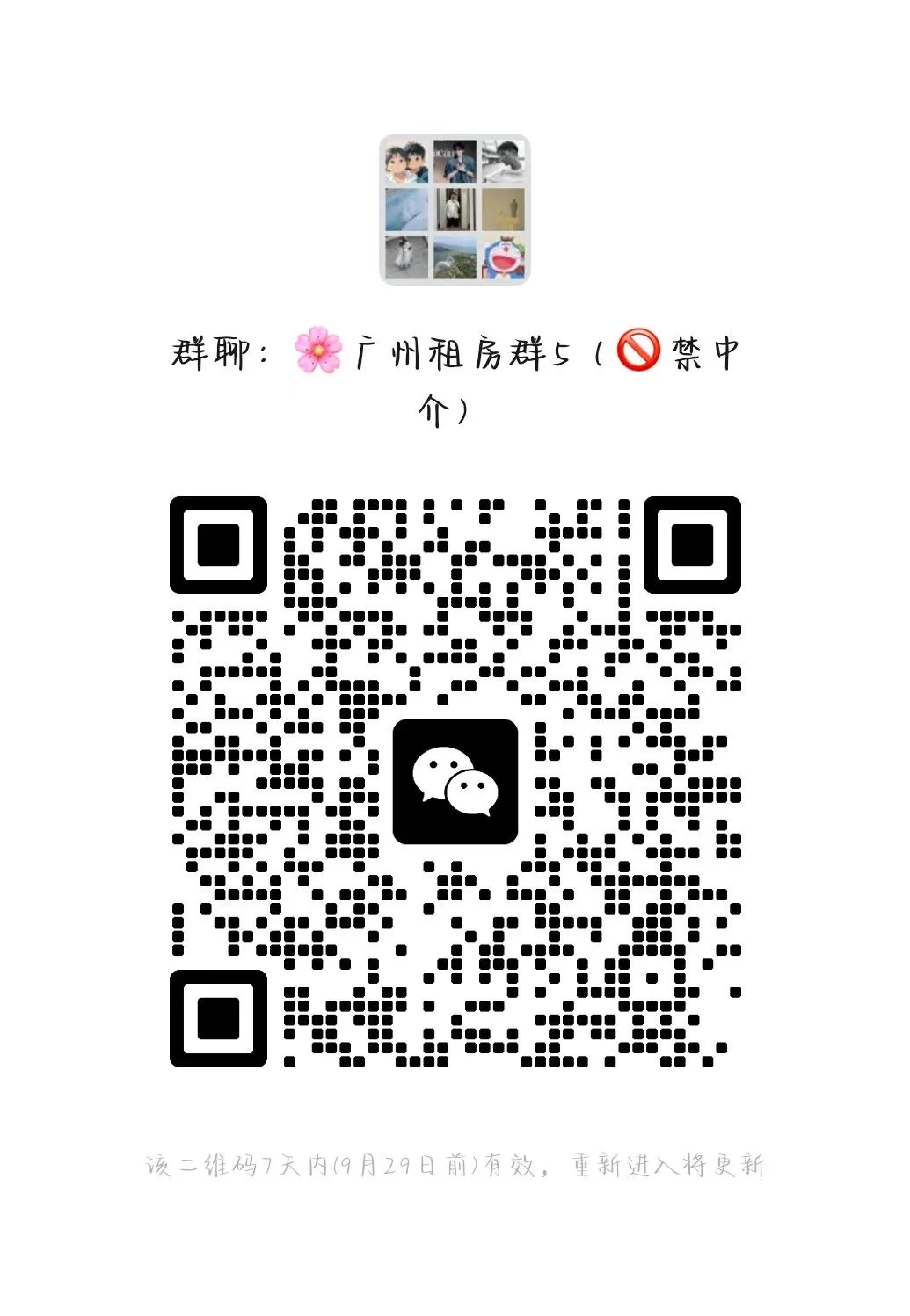 广州租房群5