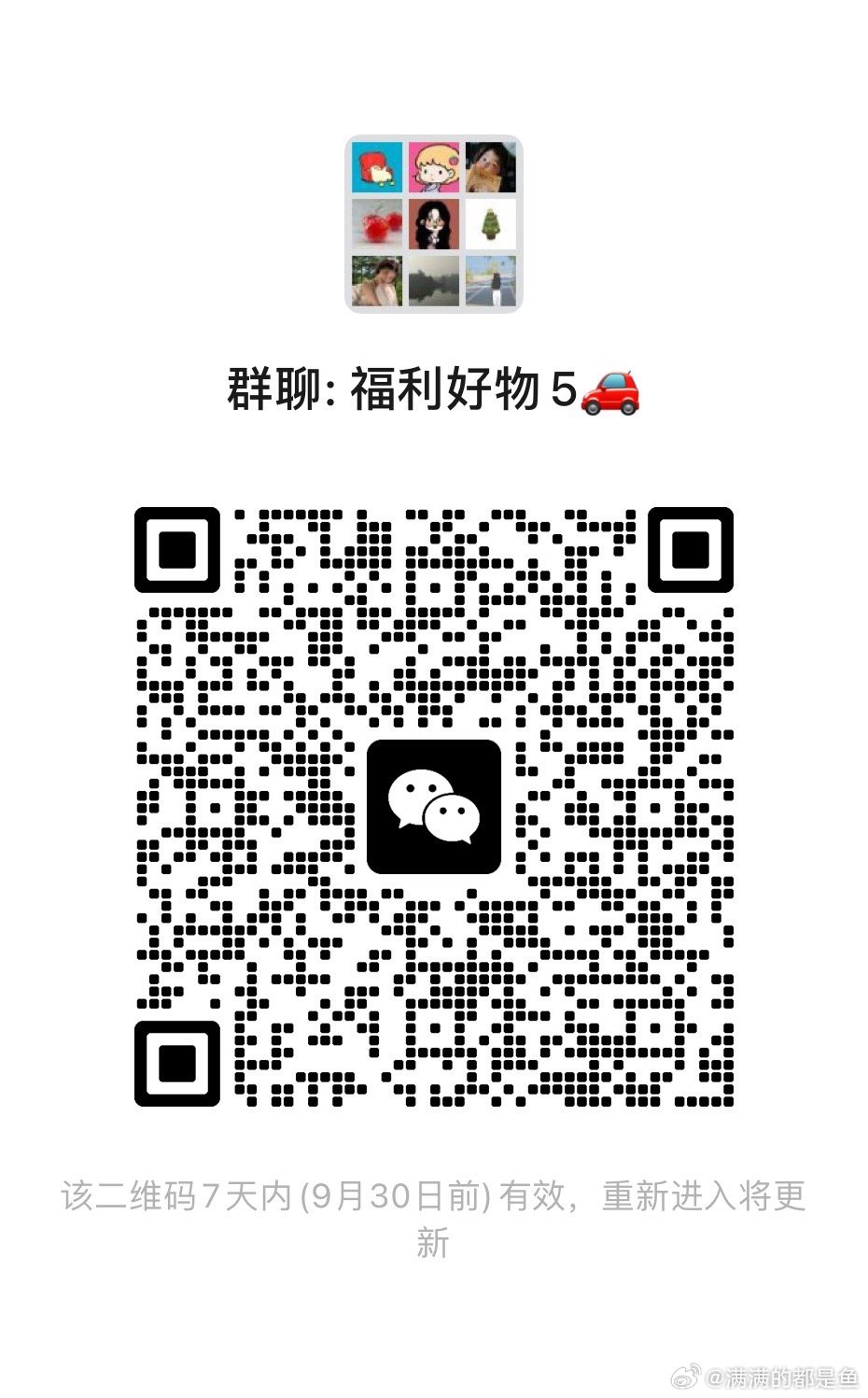 纯羊毛群