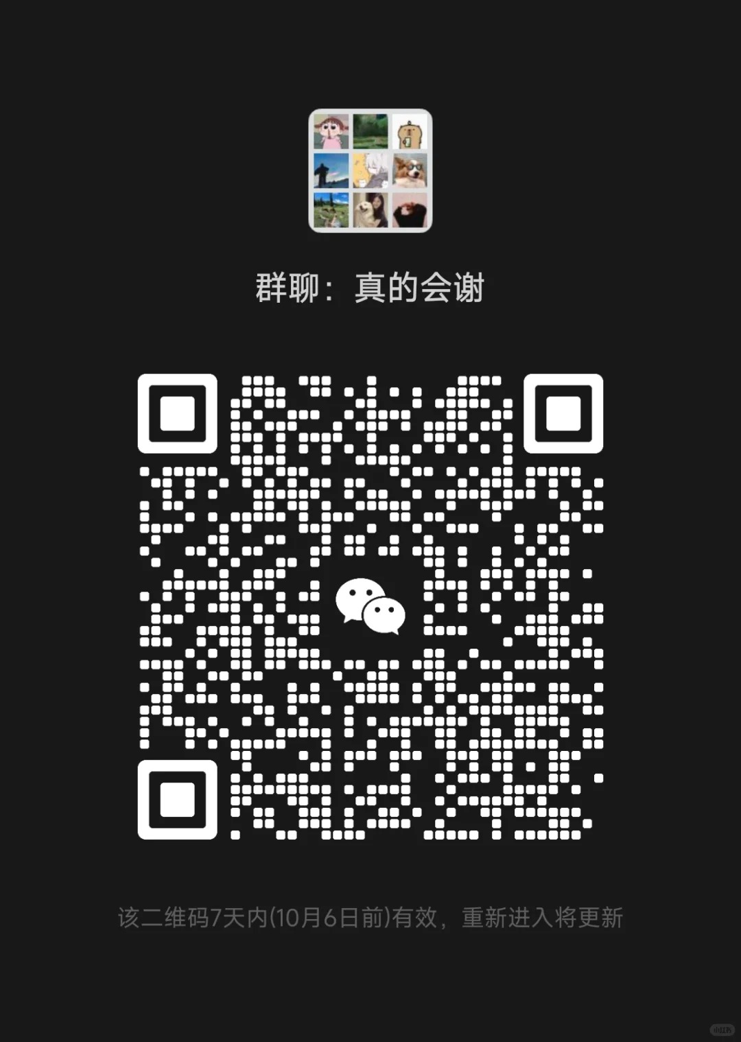 福建搭子群