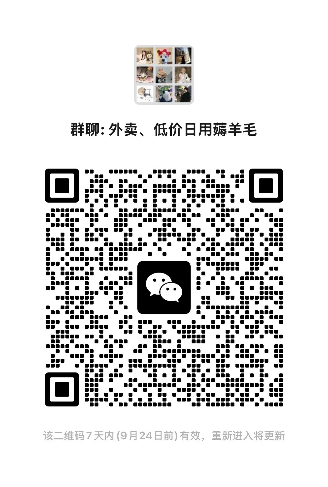 福州羊毛群
