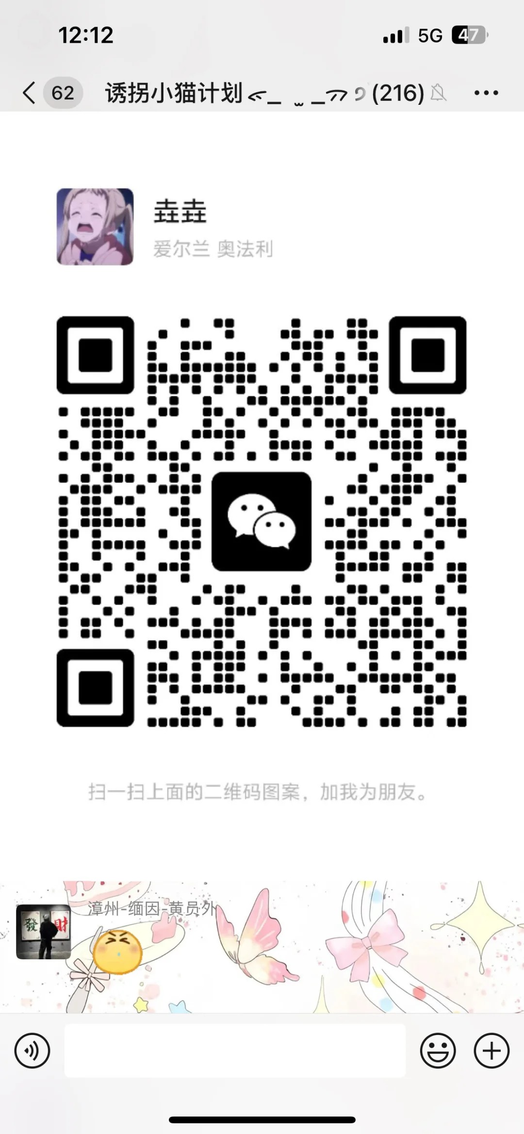 猫咪交流群