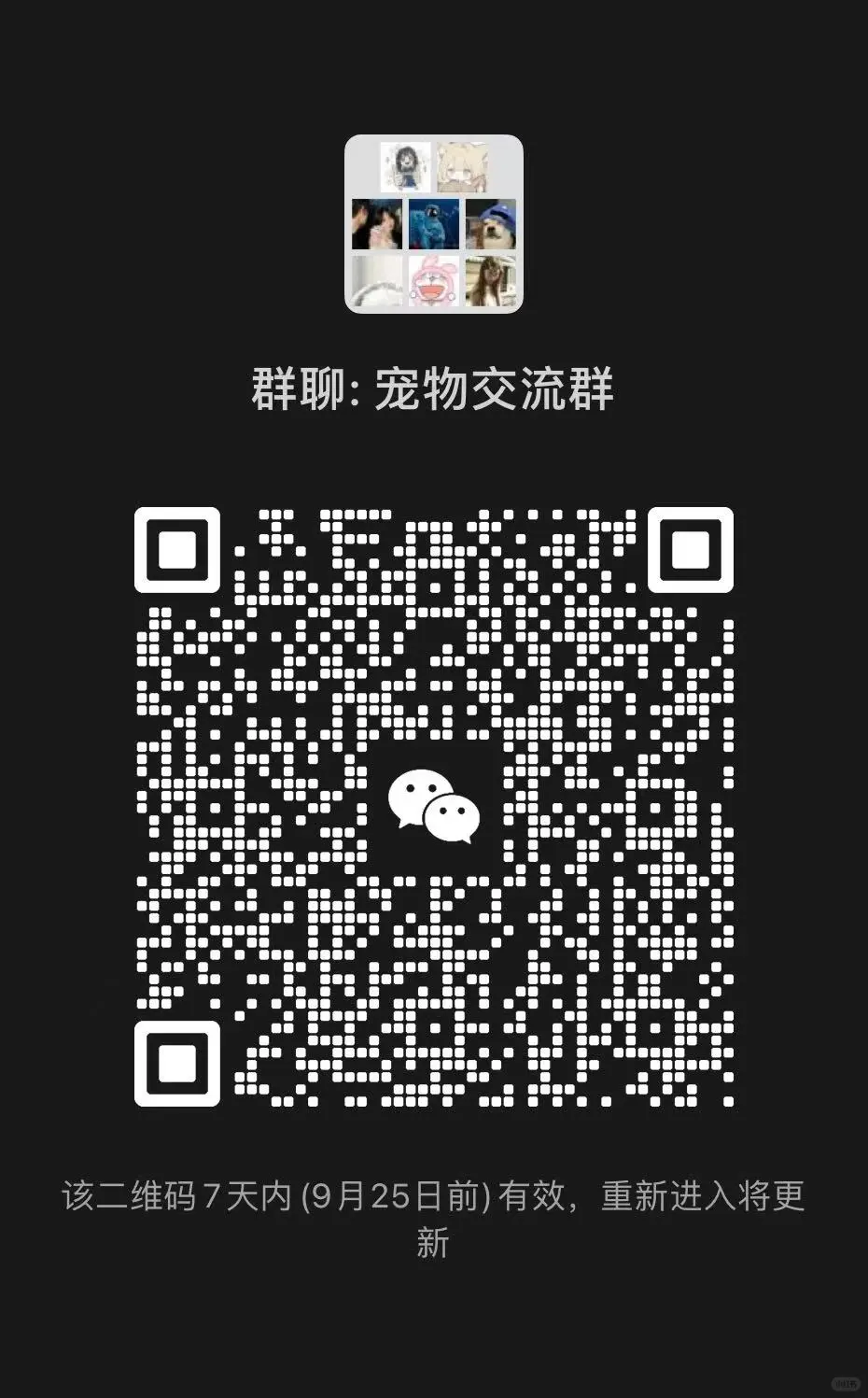 宠物交流群