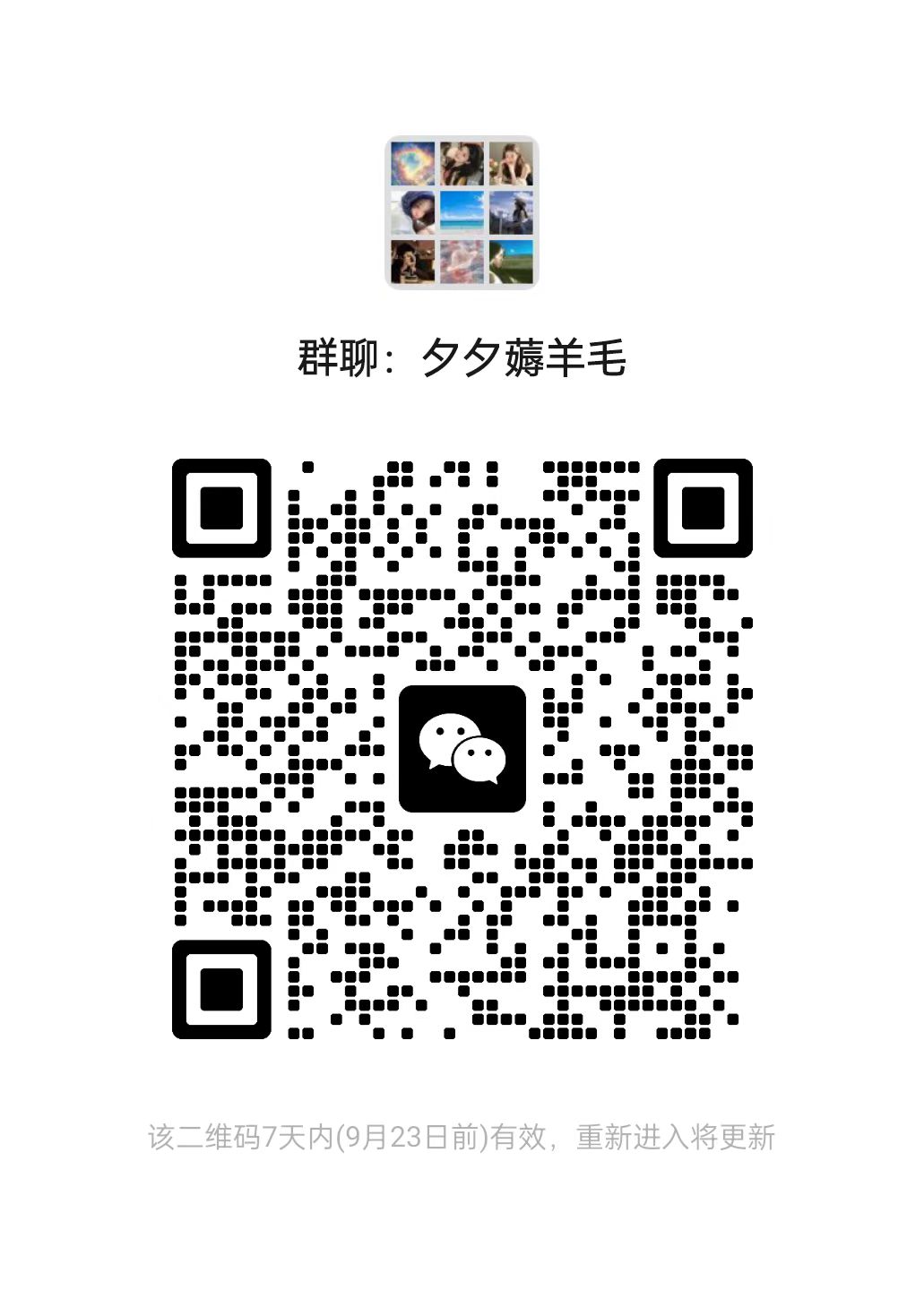 夕夕薅羊毛