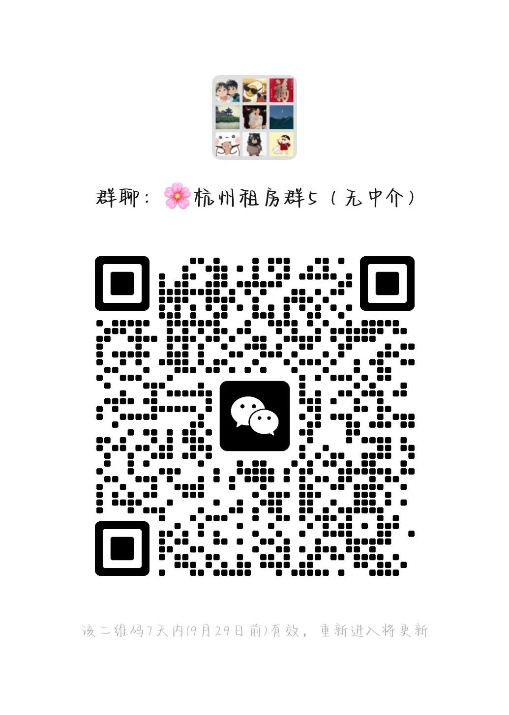杭州租房群5