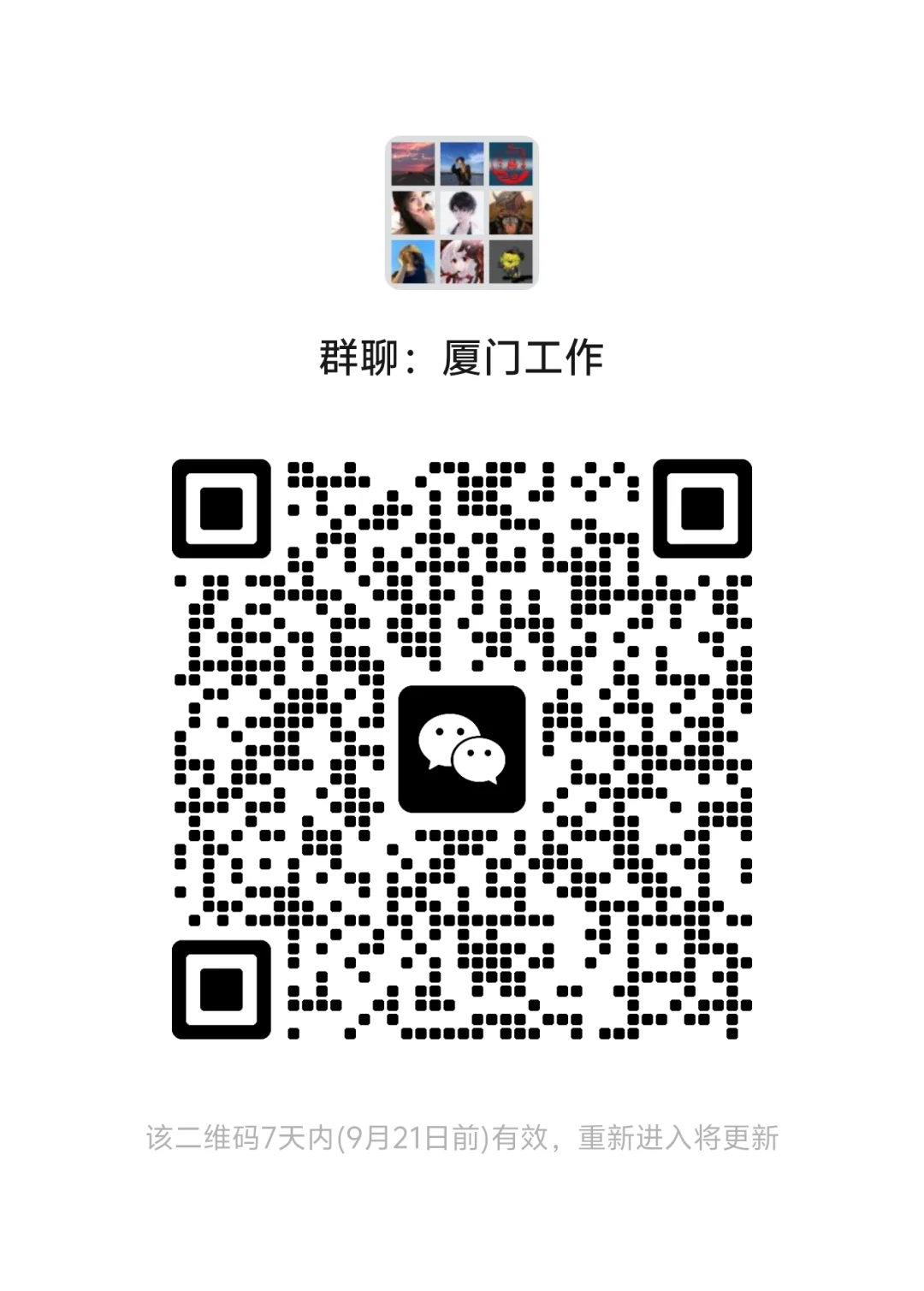 厦门工作群