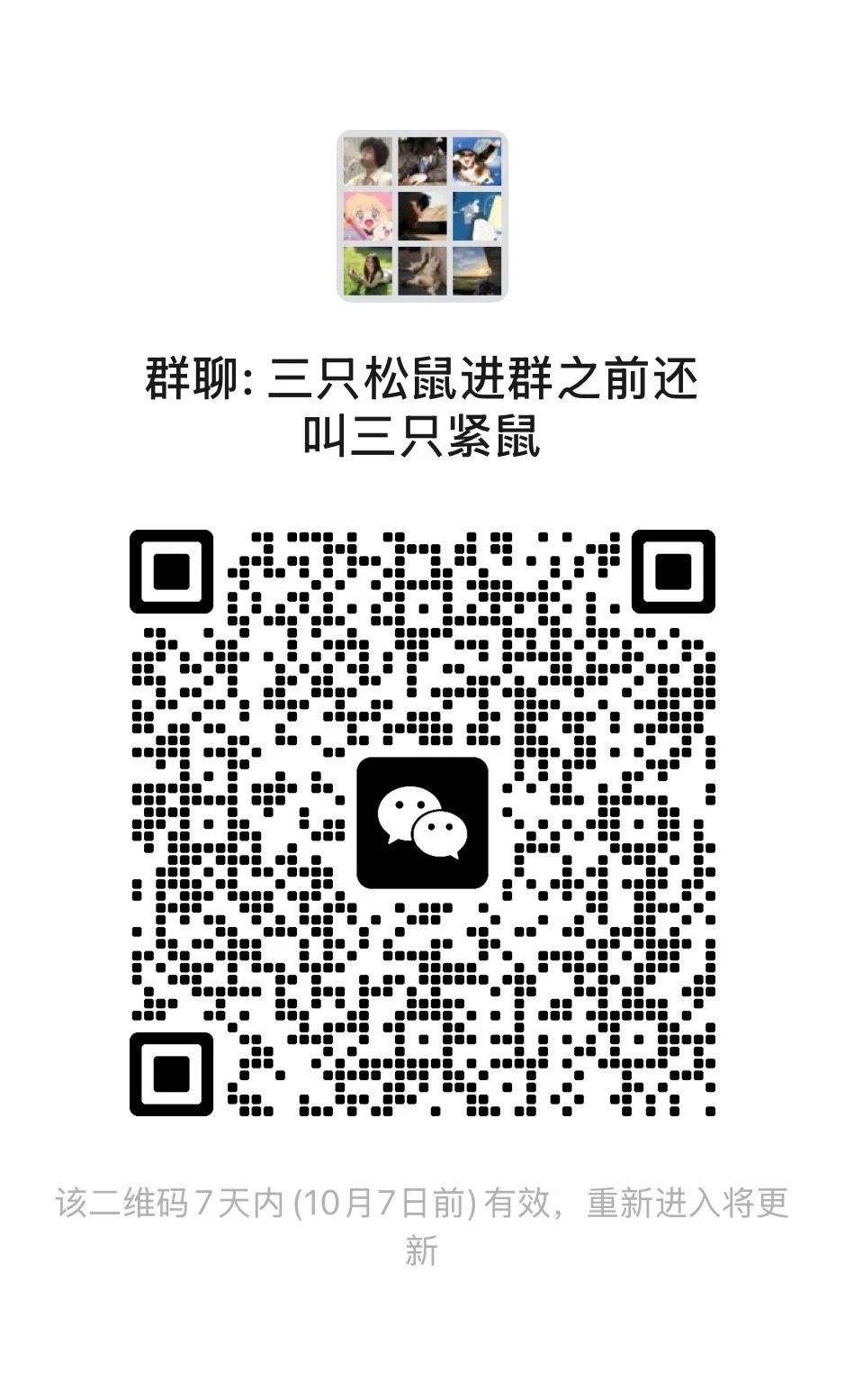三只松鼠