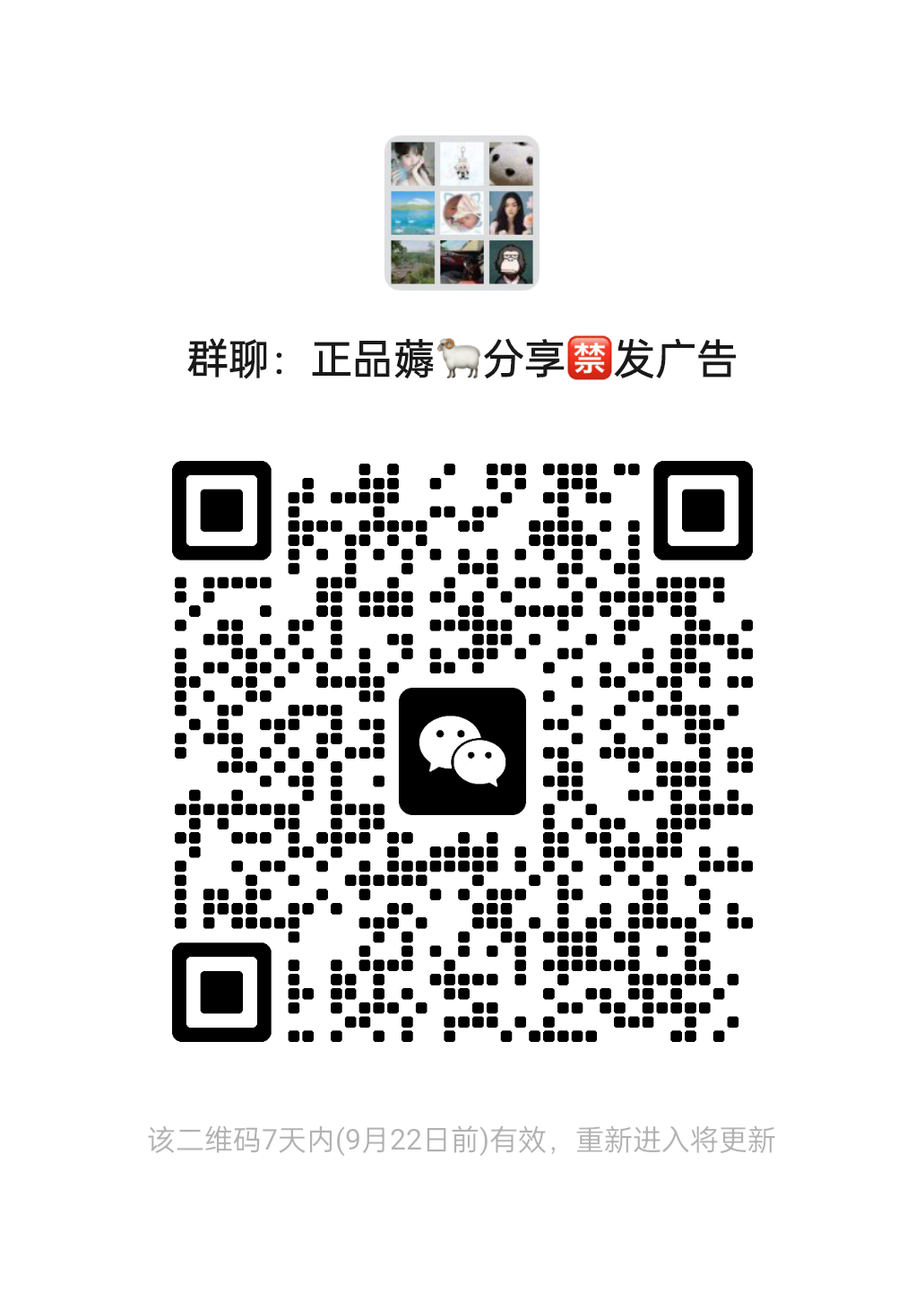 正品薅羊毛