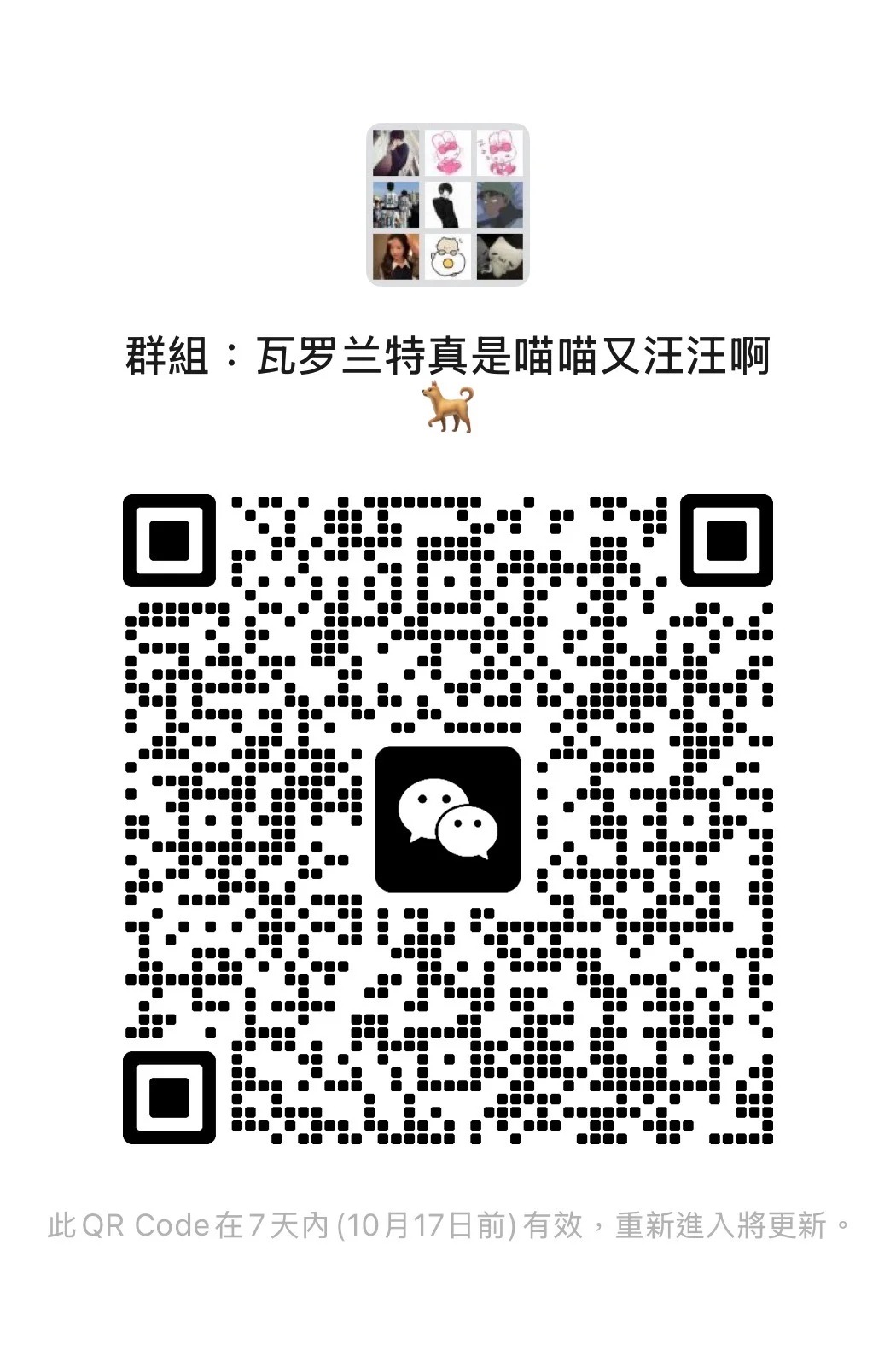 瓦罗兰特真是喵喵又汪汪啊