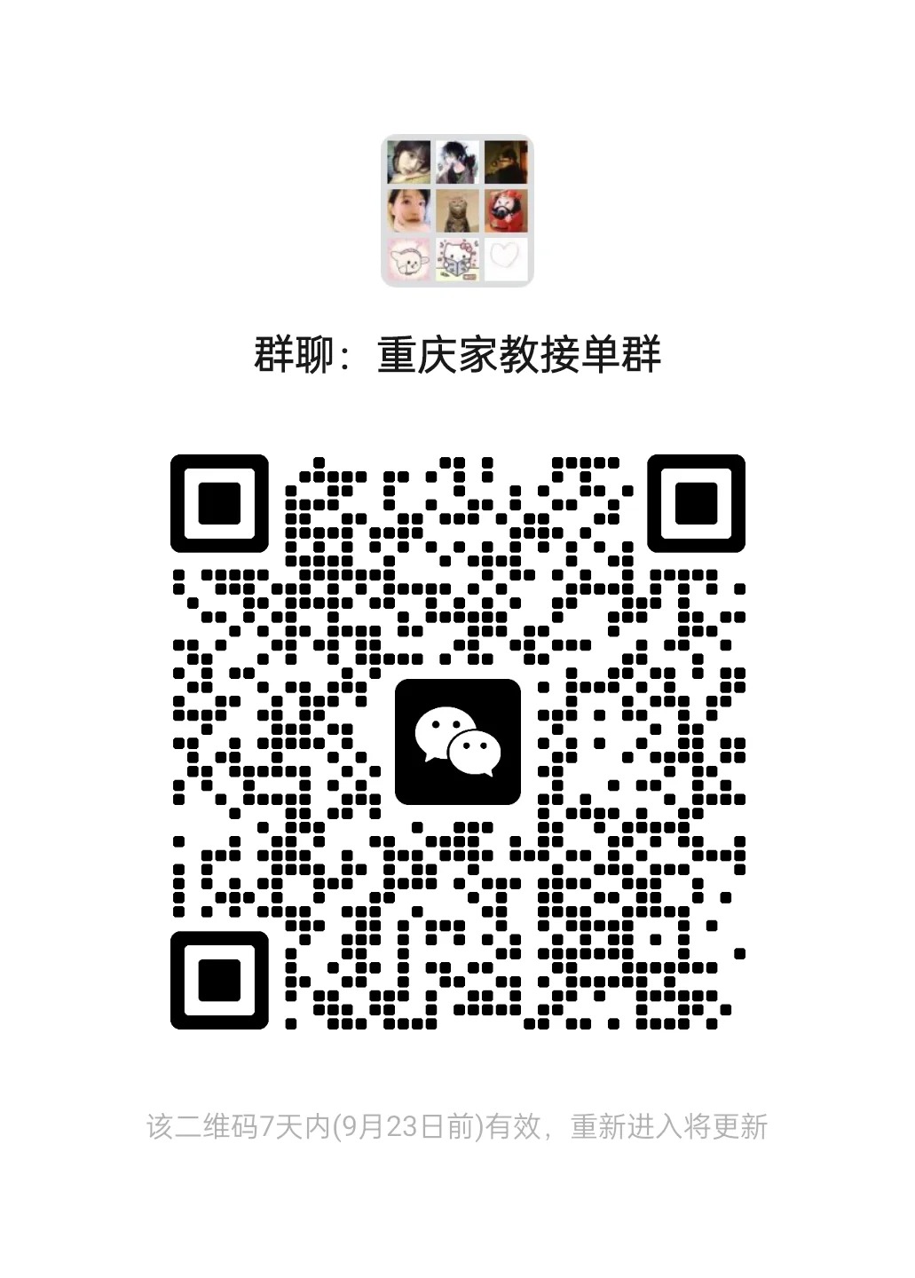 重庆家教群1