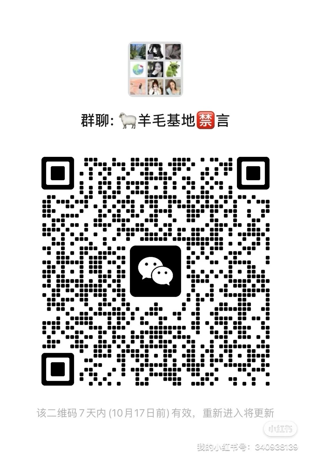 羊毛基地禁言