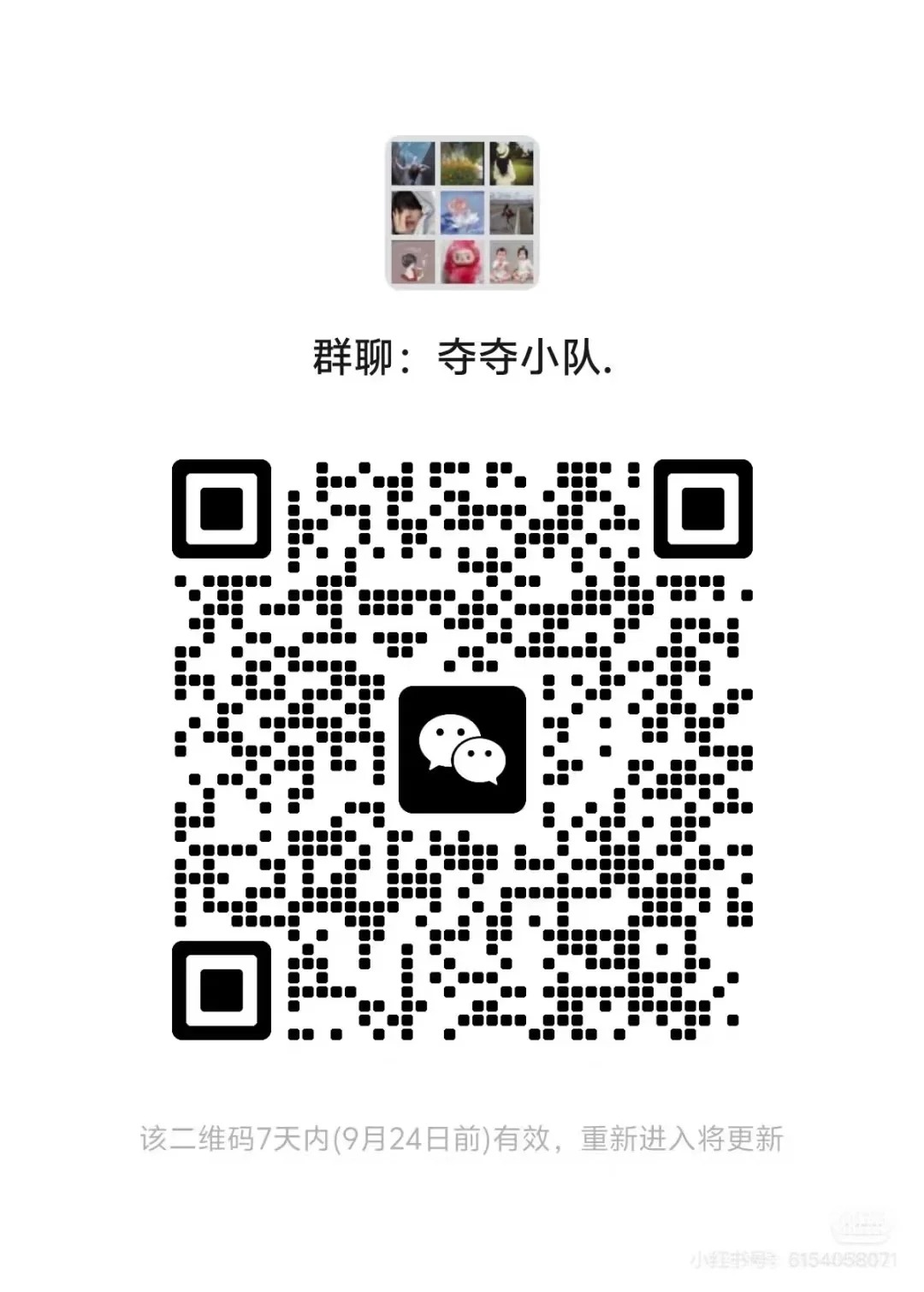 多多羊毛