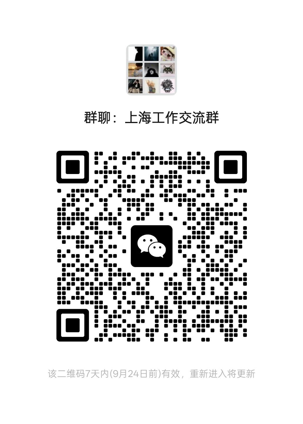 上海工作交流群·