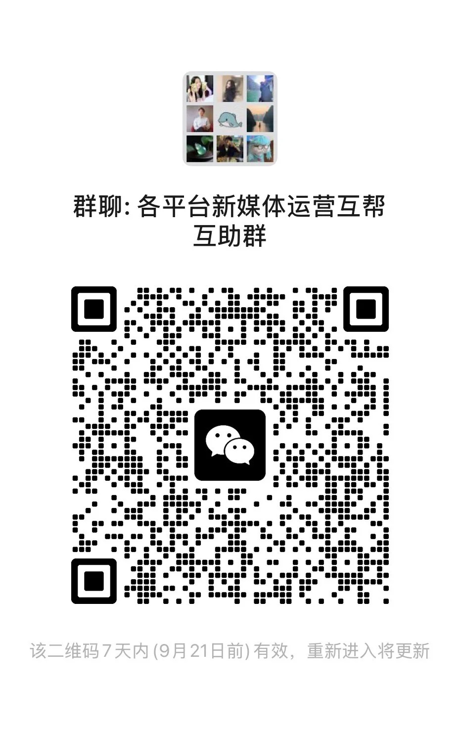 新媒体运营群