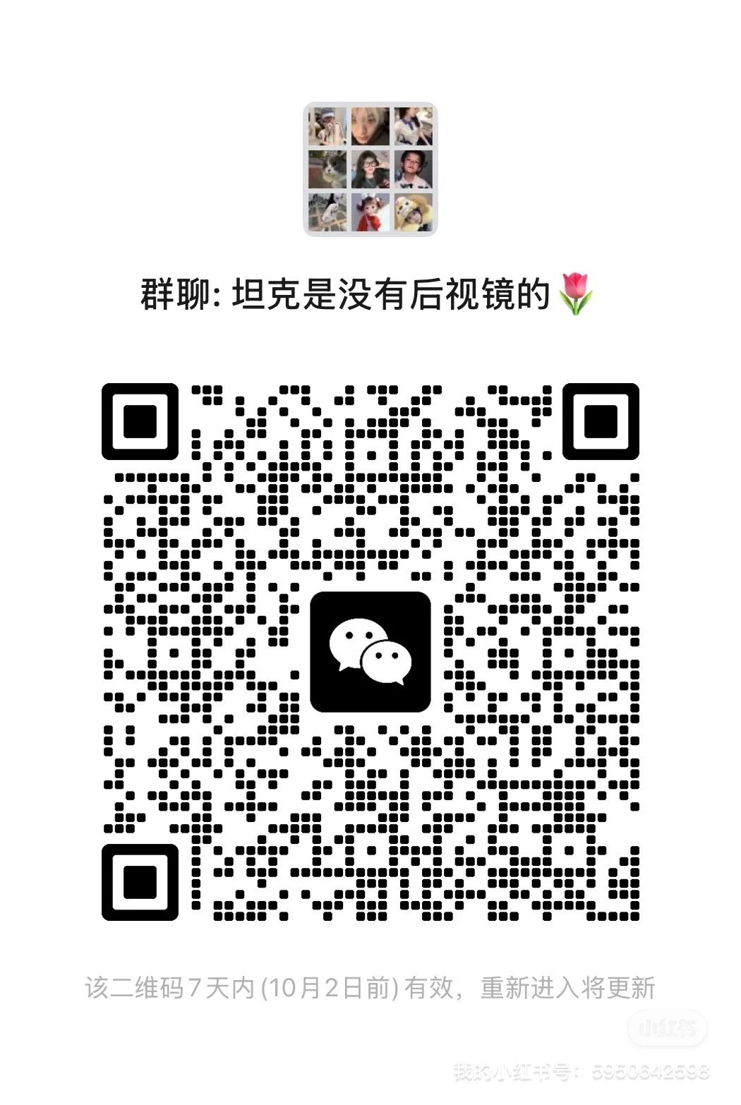 上班摸鱼群