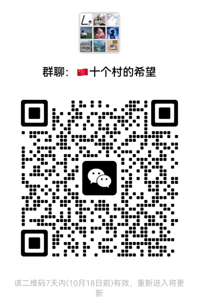 十个村的希望