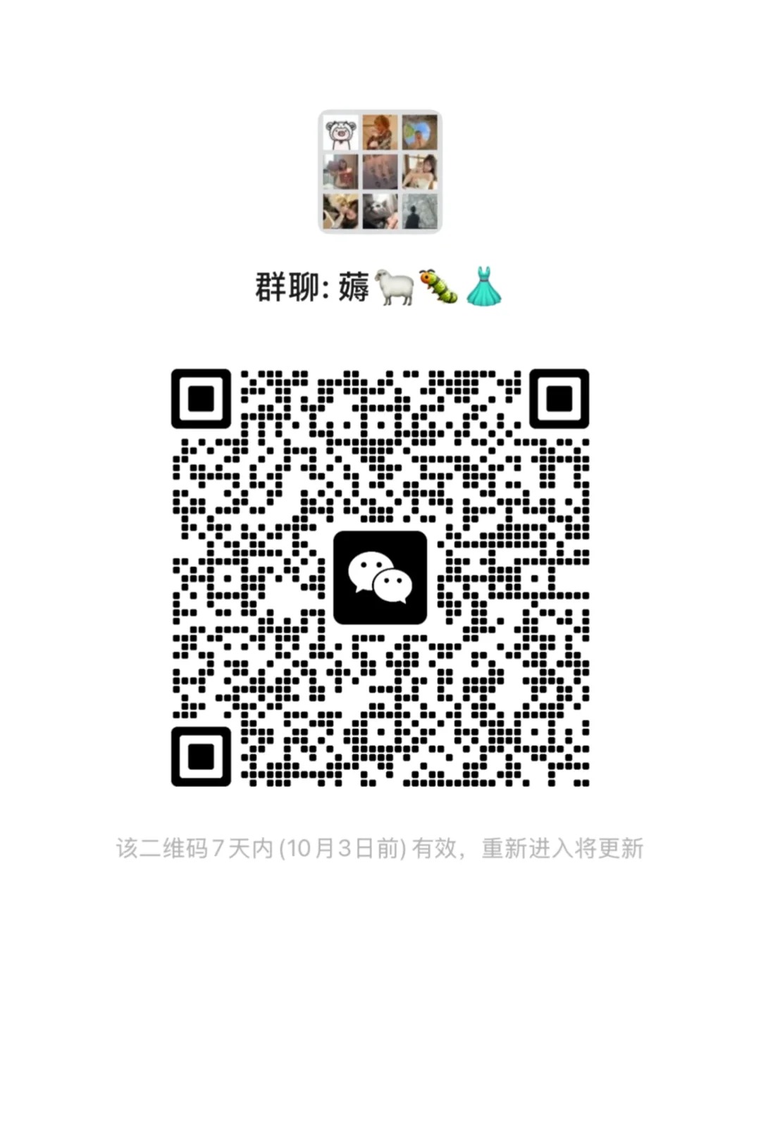 薅羊毛群4