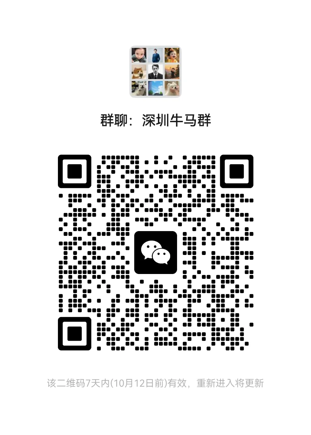 深圳牛马群1