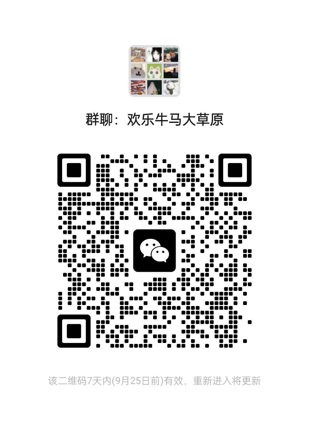 摸鱼聊天裙