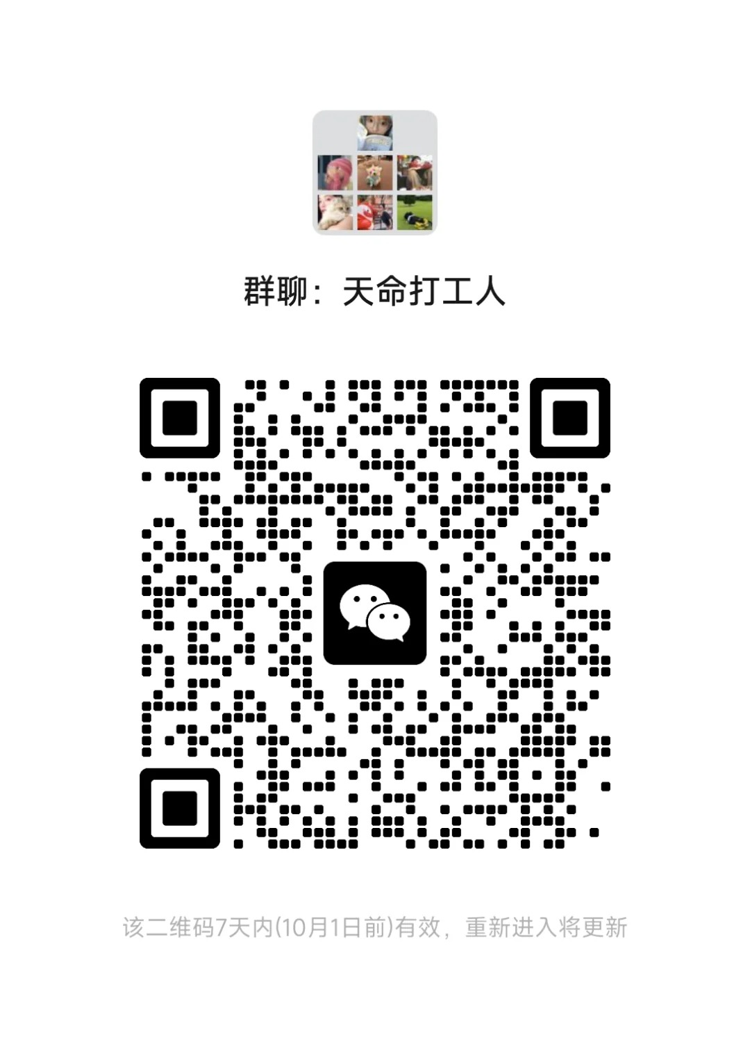 天命打工人
