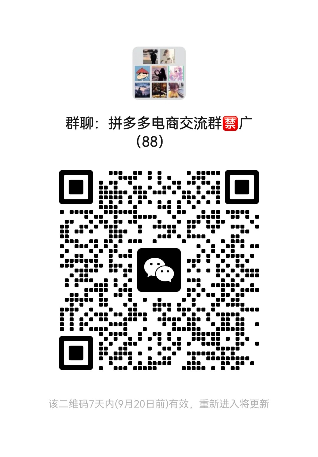 拼多多电商交流