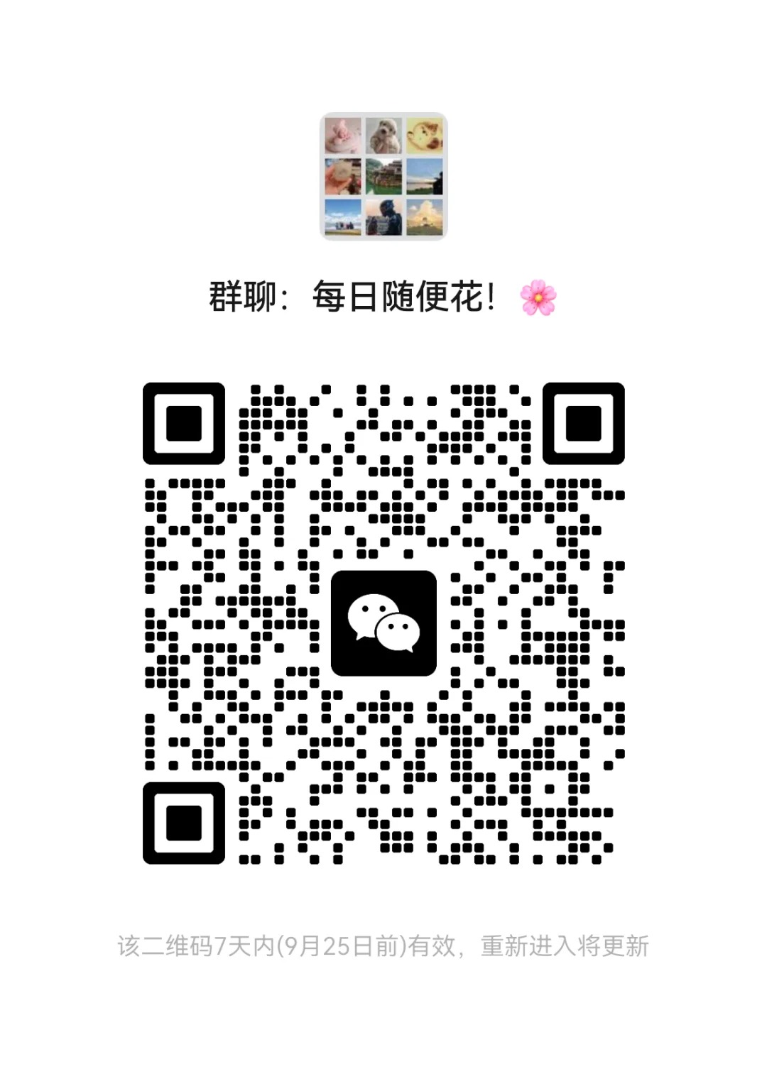 每日随便花
