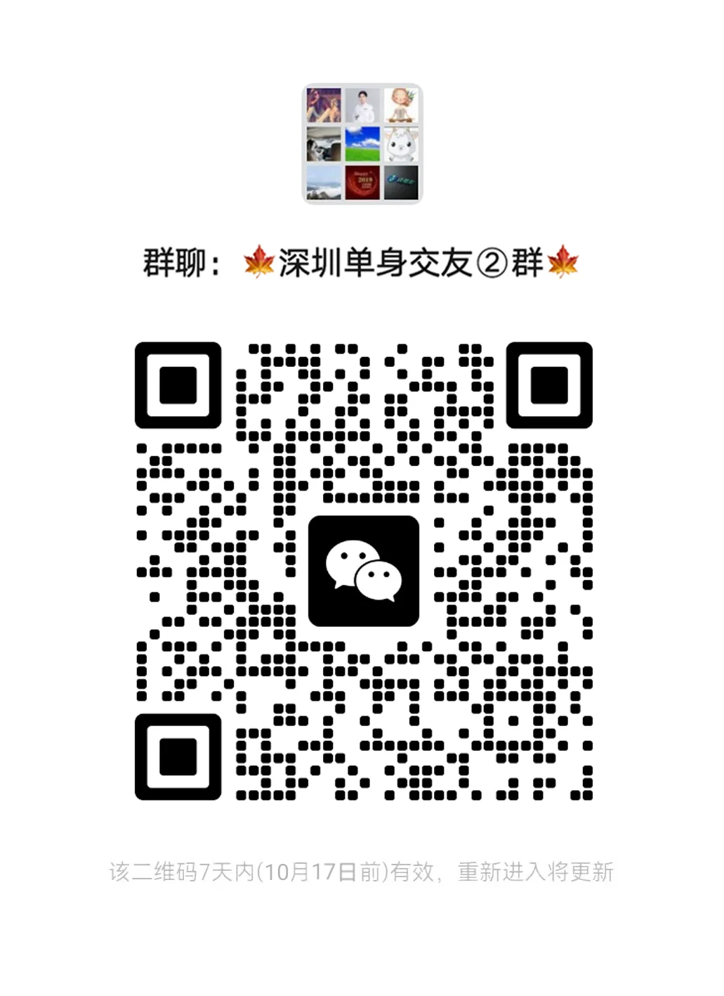 深圳单身2群