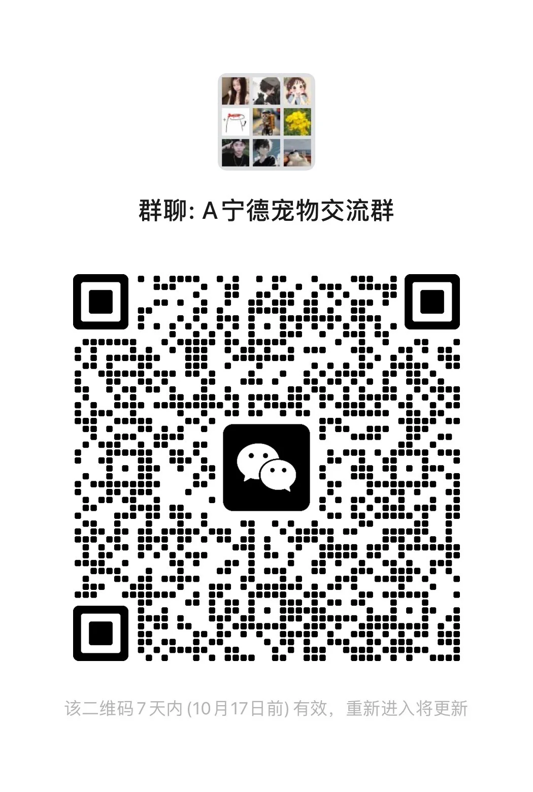 A宁德宠物交流群
