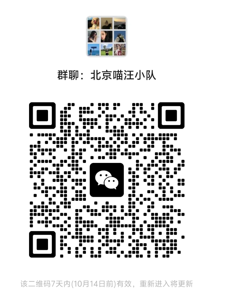 北京喵汪小队
