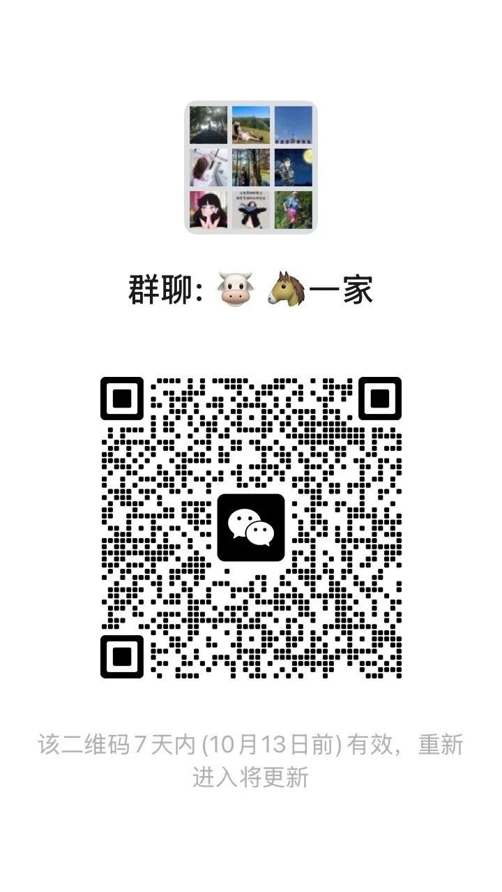 牛马一家2