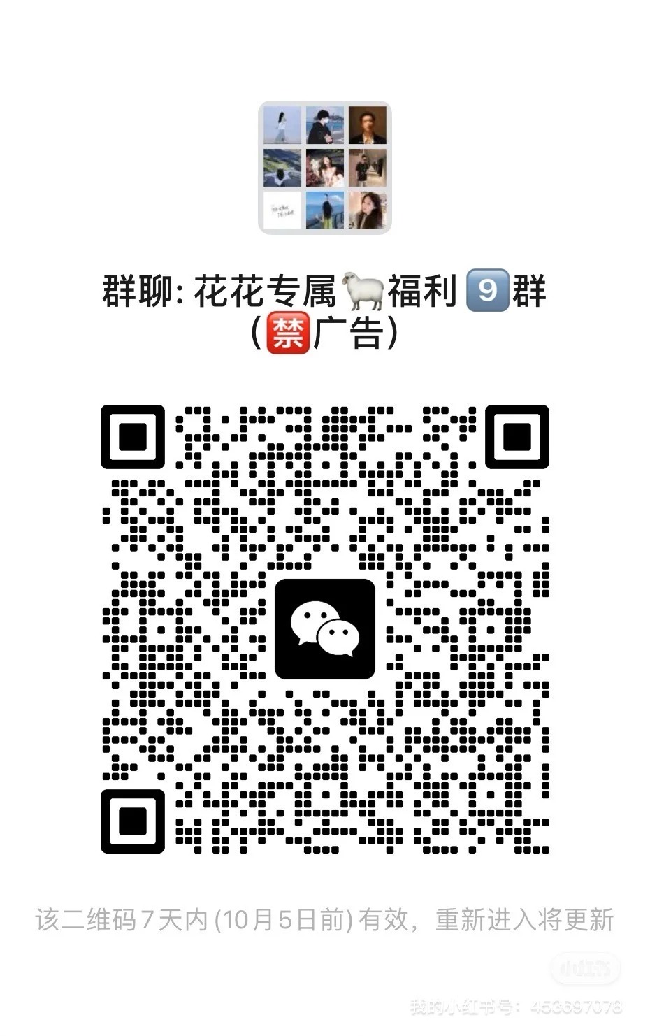 花花专属福利