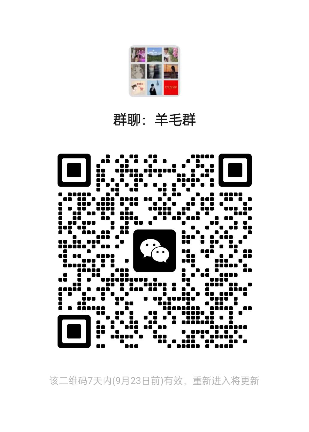 羊毛来了