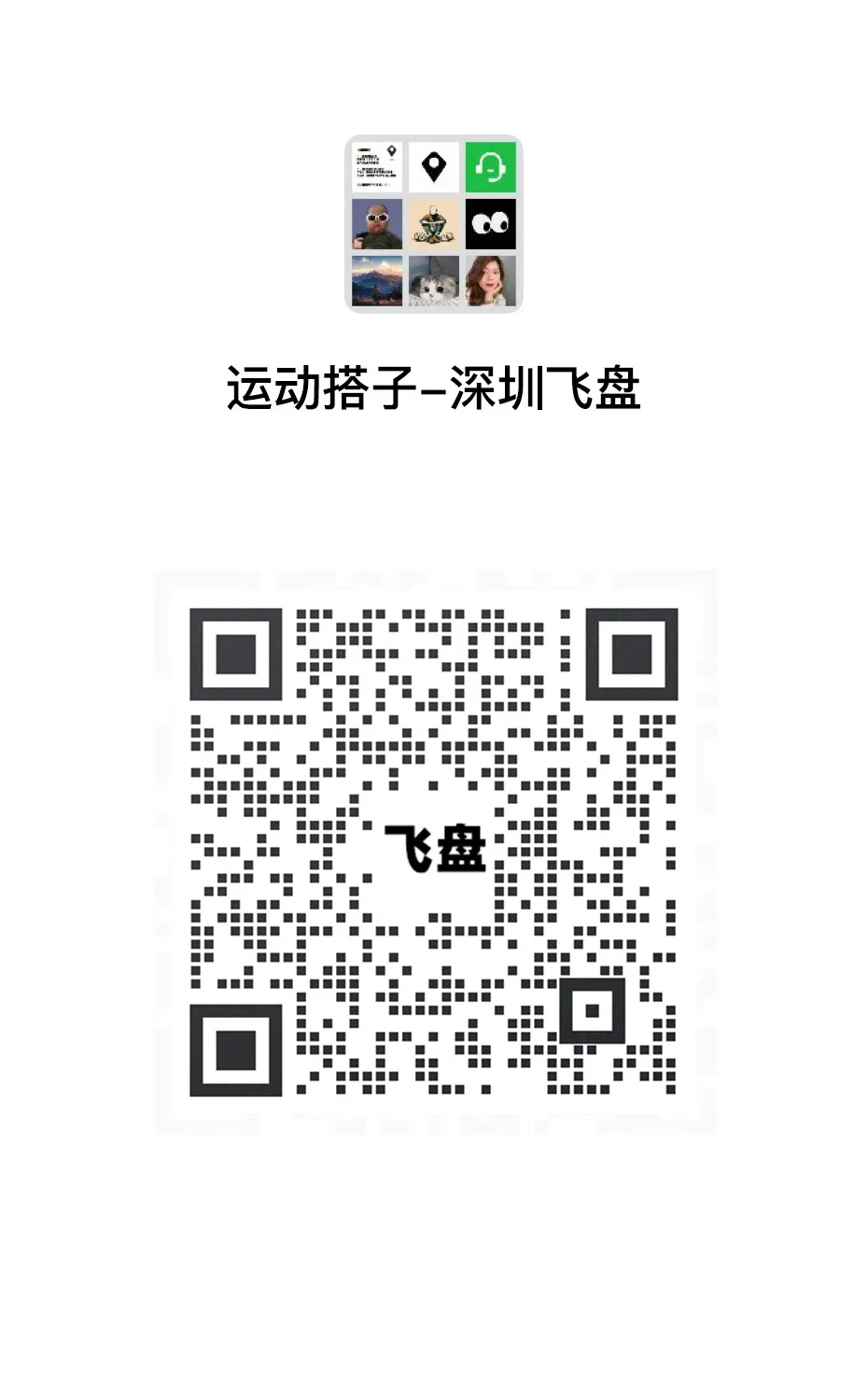 深圳飞盘群