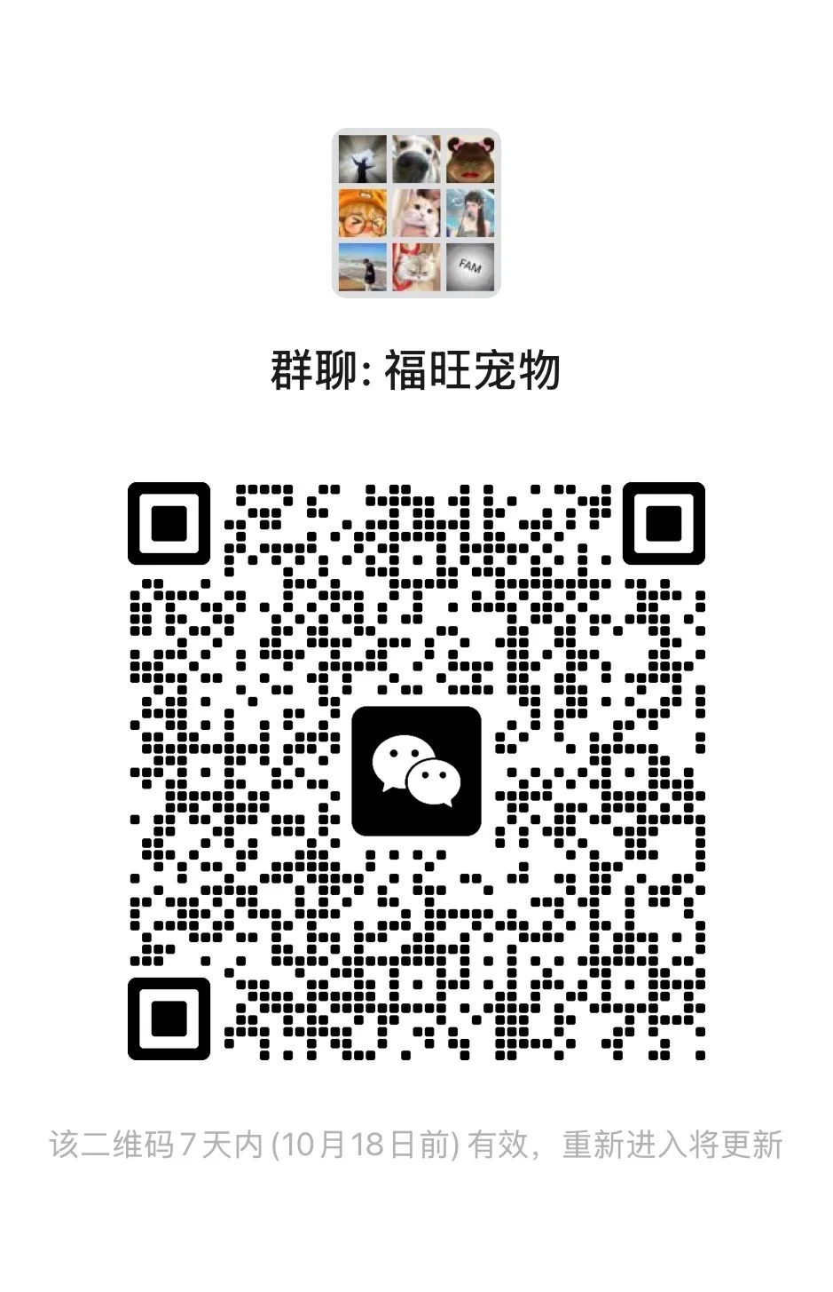 福旺宠物