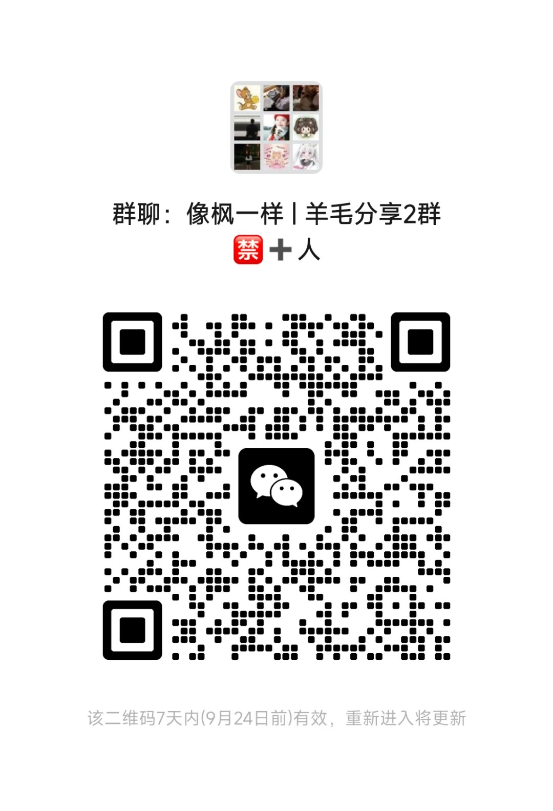 羊毛分享群